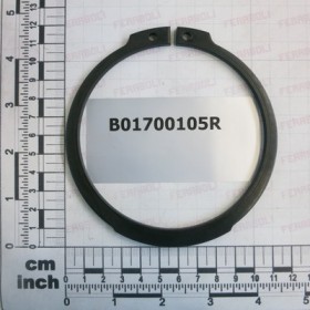 SNP RING