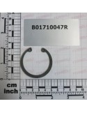 SEEGER RING