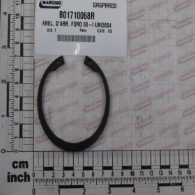 SEEGER RING