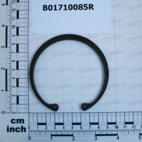 SEEGER RING