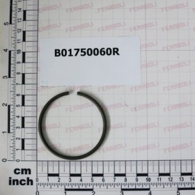 RING ELASTICO RW60 DIN 7993