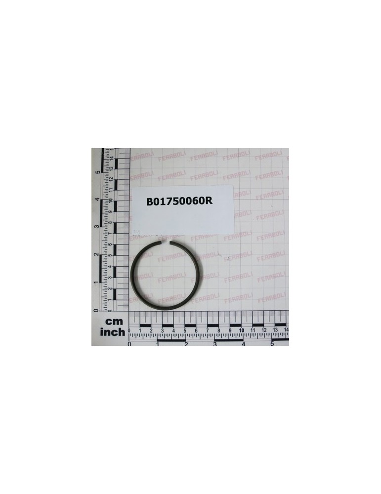 RING ELASTICO RW60 DIN 7993