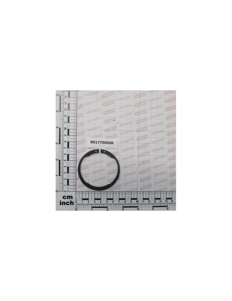 ANELLO D\'ARRES ALB. 60 TIPO W.