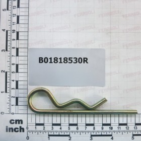 PIN