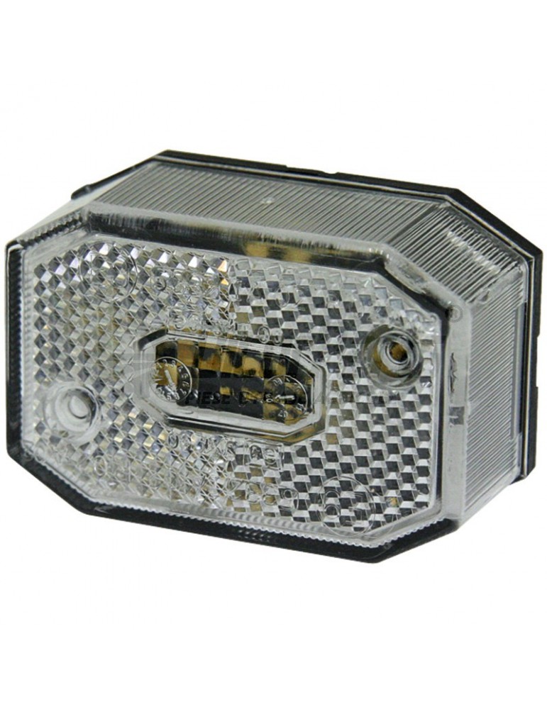Lampa, rosie