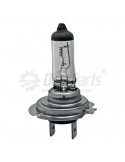 Bec cu halogen H7