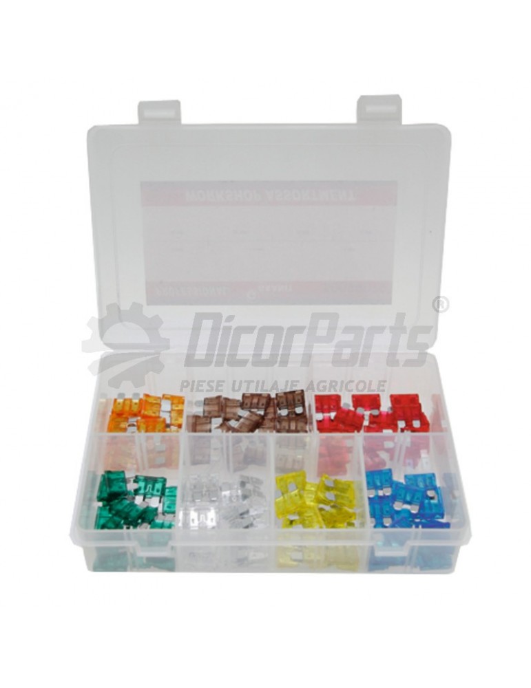 Sortiment de sigurante maxi plate