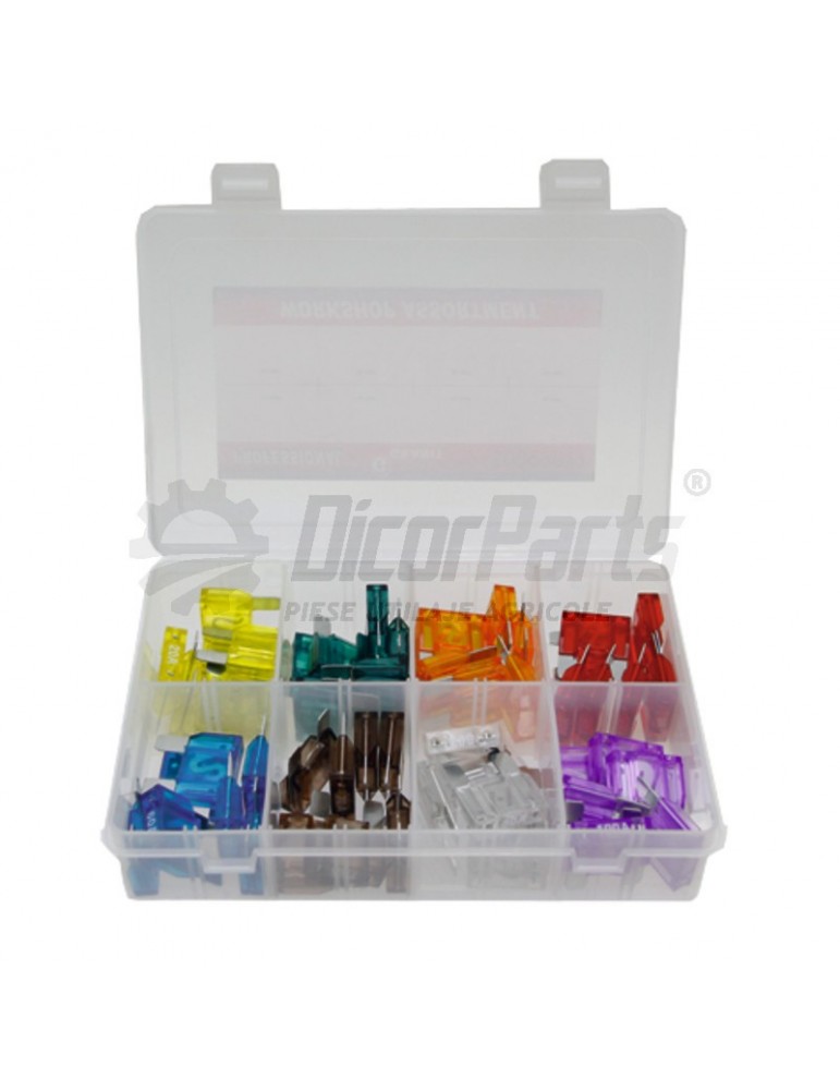 Sortiment de sigurante maxi plate