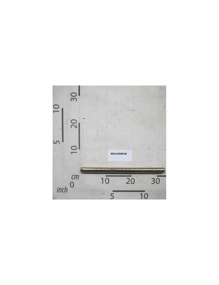 FULCRUM PIN