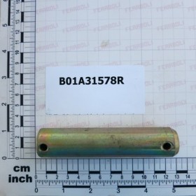PIN