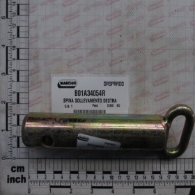 PIN
