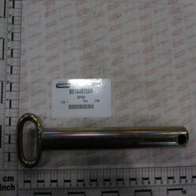 PIN