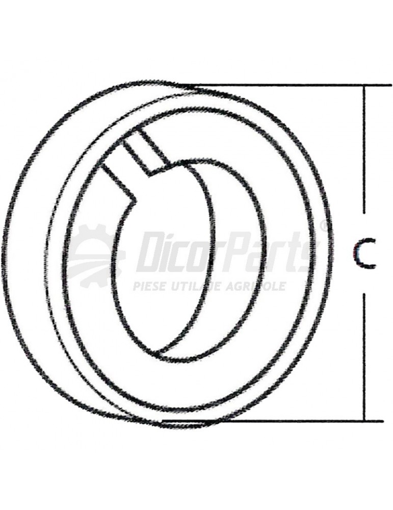 Inel siguranta dinte