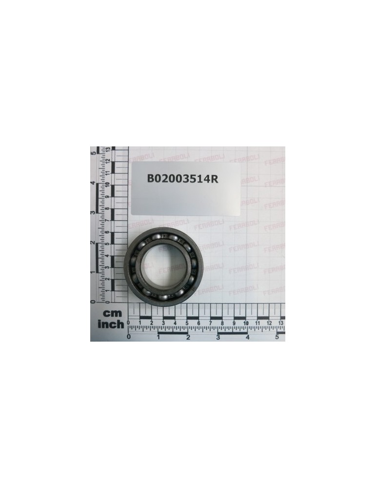 BEARING  6007