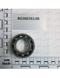 BEARING  6007