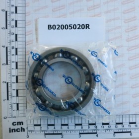 BEARING