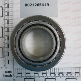 BEARING