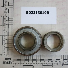 BEARING