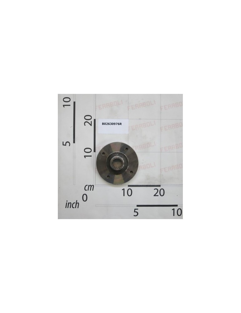 BLADE HOLDING FLANGE