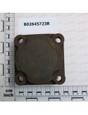 BEARING CAP
