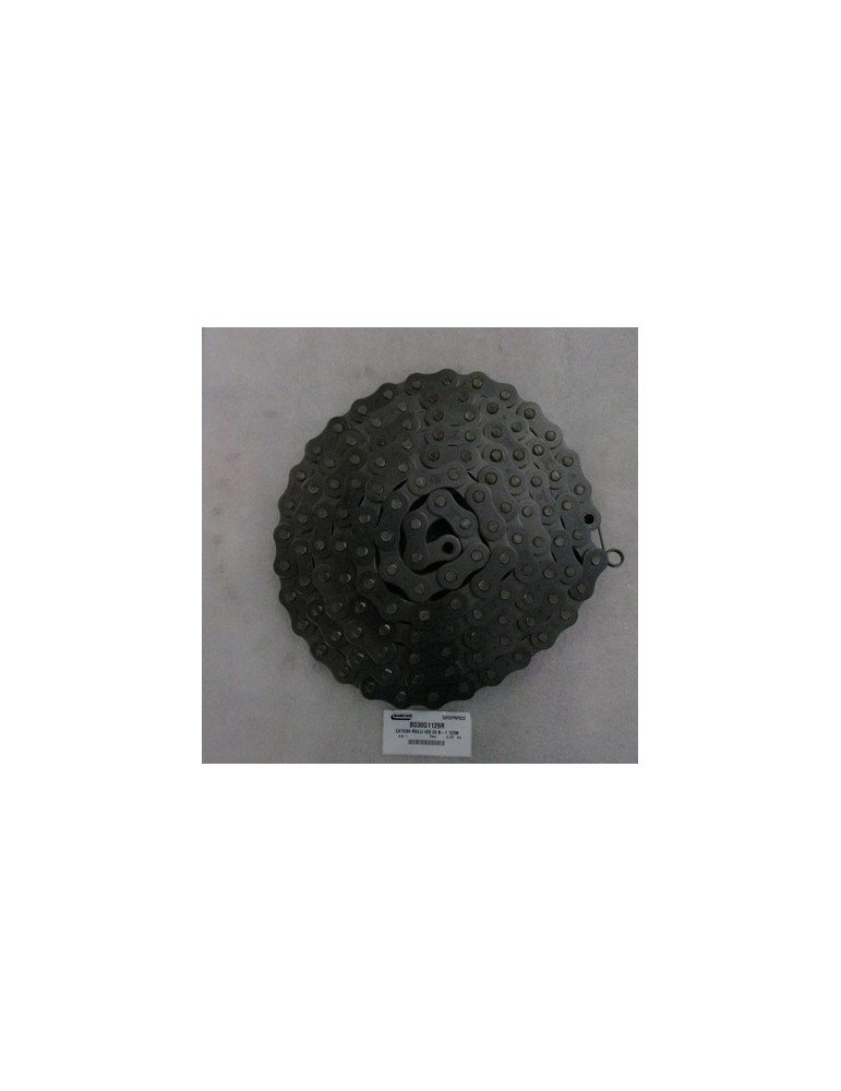 ROLLER CHAIN  ISO 20 B-1 129M