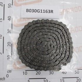 CHAIN RULLI ISO 20 B-1  163M