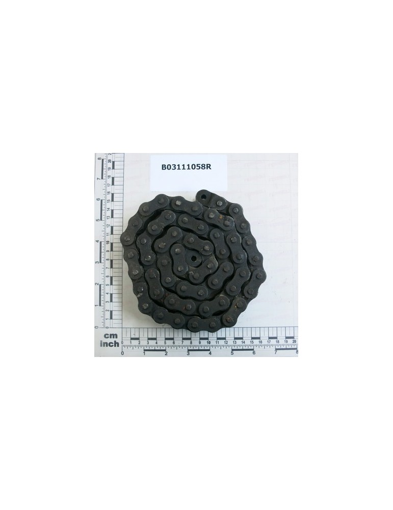 ROLLER CHAIN ASA60-1 58M
