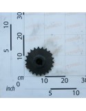 GEAR Z-22-3/4\"