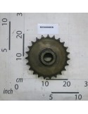 GEAR