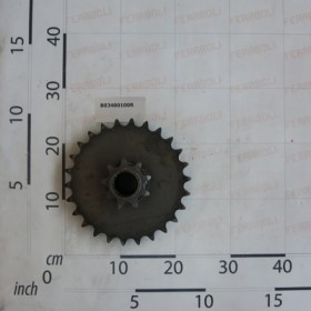 SMOOTH ROLLER GEAR