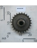 ROD ROLLER GEAR Z-24-12/1\"
