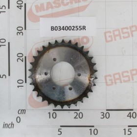 SPROCKET