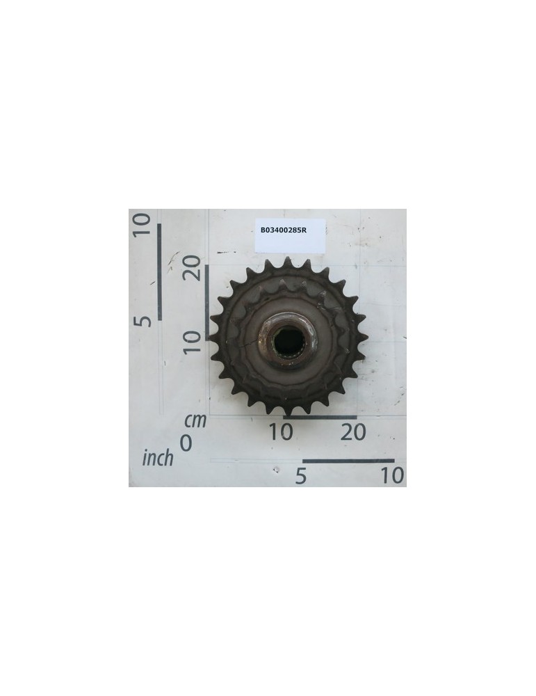 BIG ROLLER GEAR Z-17-24/1\"
