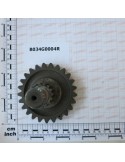 PINION