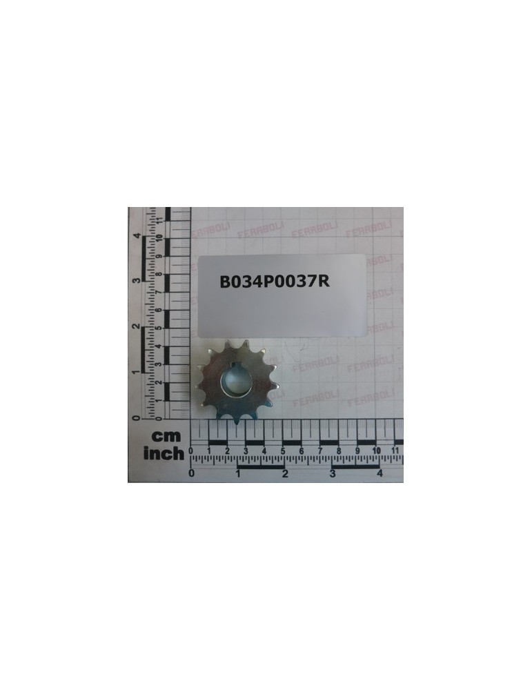 PINION