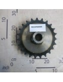 GEAR Z-23; 1-1/4; ISO 20B-1