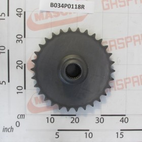 GEAR Z-30; 1-1/4; ISO 20B-1