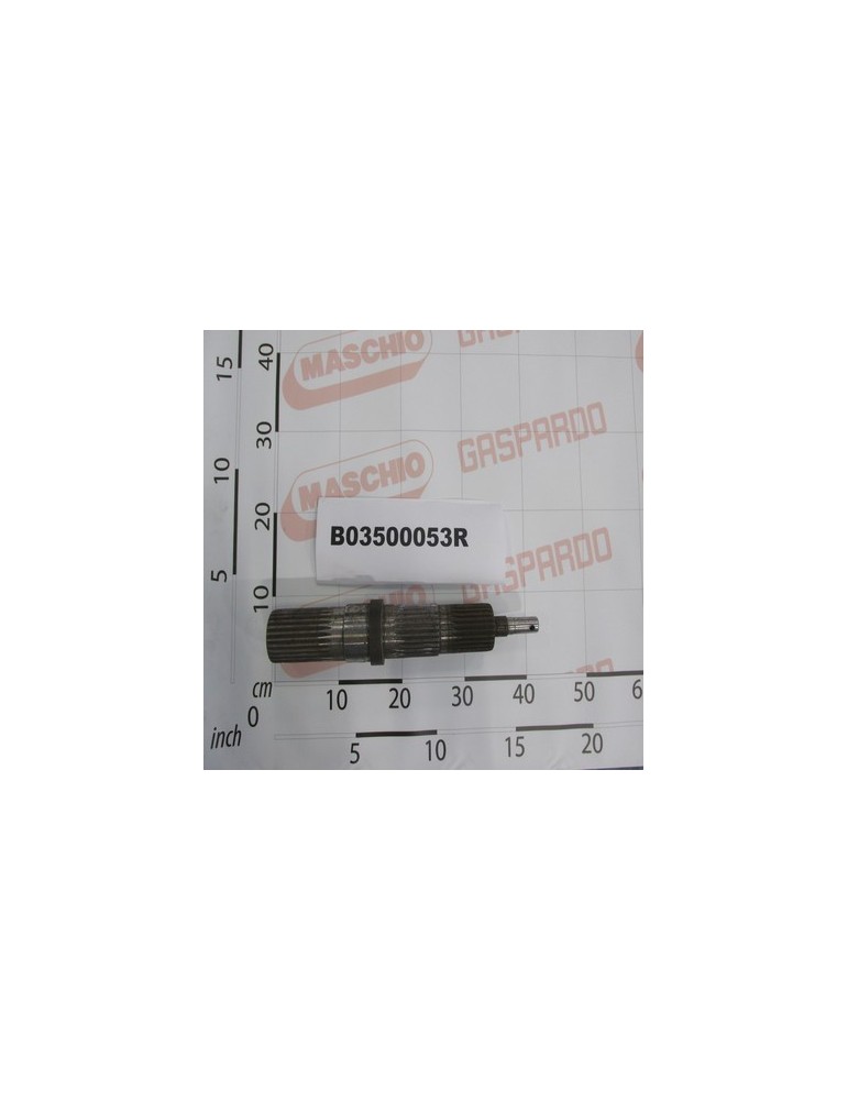 SHAFT VERTICALE CS BIG&ECOT