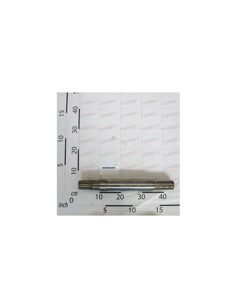 ALBERO SECONDARIO SCAT.56 PER.