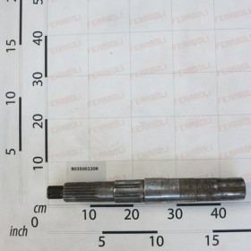 VERTICAL SHAFT