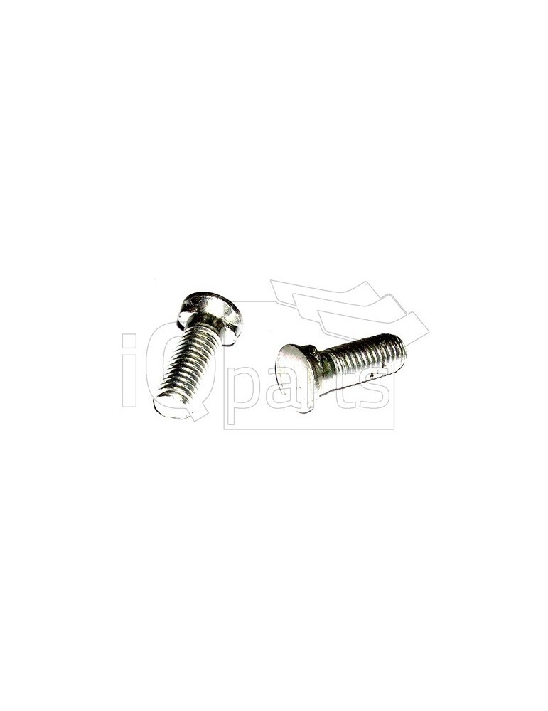 Screw C-1030 M10 x 30 Mu ISO 5713