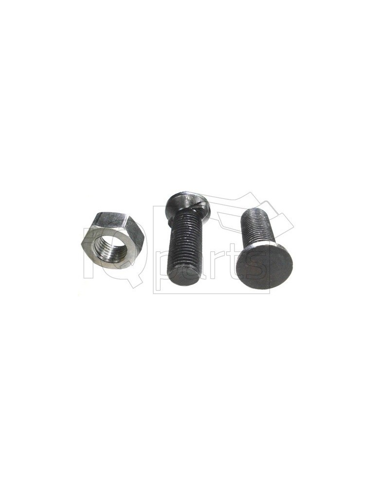 Screw E-1440 M14 x 1,5 x 40  2 Nasen