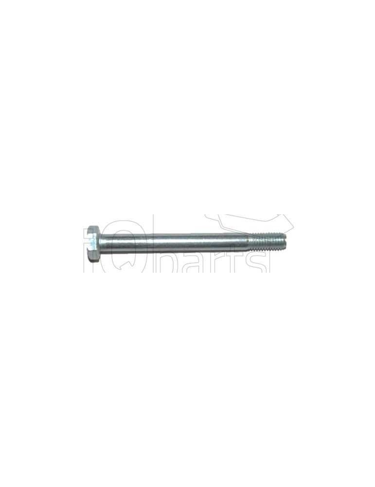 Screw SKT-SCHRAUBE M10X105