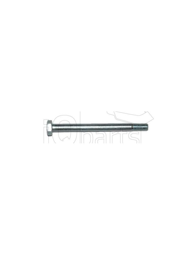 Screw SKT-SCHRAUBE M10X120