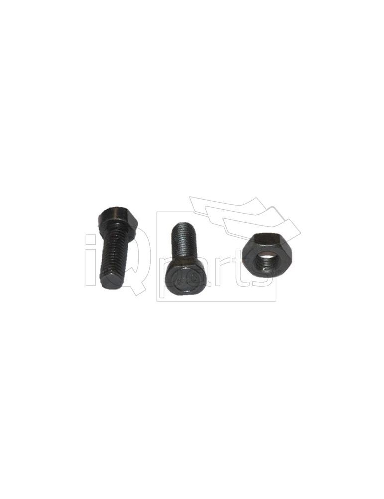 Screw B-1255 M12x55 MU DIN608 