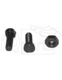 Screw B-1255 M12x55 MU DIN608 