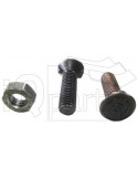 Screw D-1035 M10 x 35 Mu DIN11014