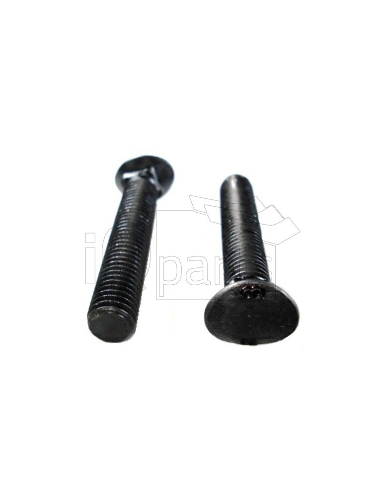 Screw Q-1060 M10x60-10.9 Mu 