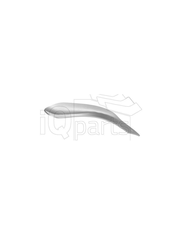 Skimmer Board Z2335702  RH67-90 Li 