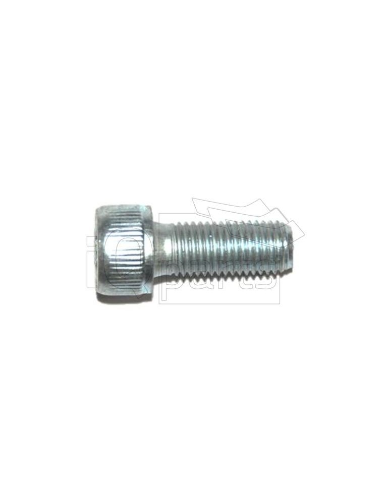 Screw  M10X1,25X25